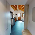 Monte Leone